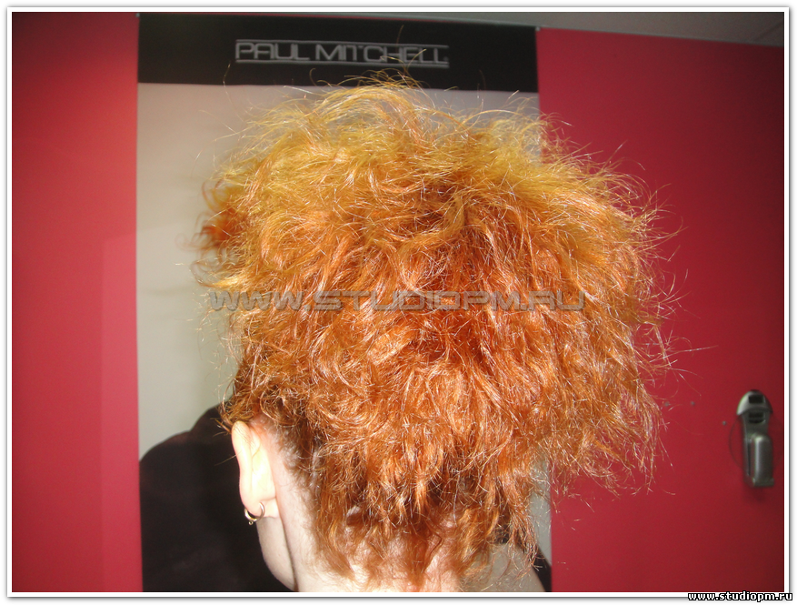 Отзывы о завивке paul mitchell Отзывы о завивке paul mitchell